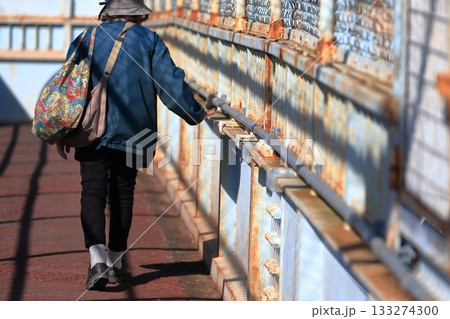 横断歩道橋 横断歩道橋 133274300