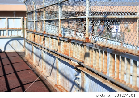 横断歩道橋 133274301