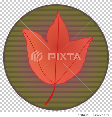 Illustration of a maple tree with autumn leaves on a circular background 133274429