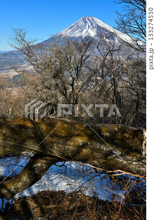 愛鷹山塊 越前岳の森の倒木と富士山聳える 愛鷹山塊 越前岳の森の倒木と富士山聳える 133274550