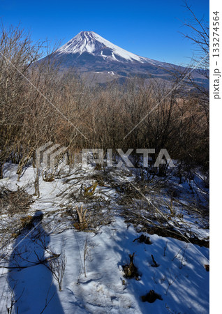 愛鷹山塊の越前岳　富士見台の森から望む富士山 133274564
