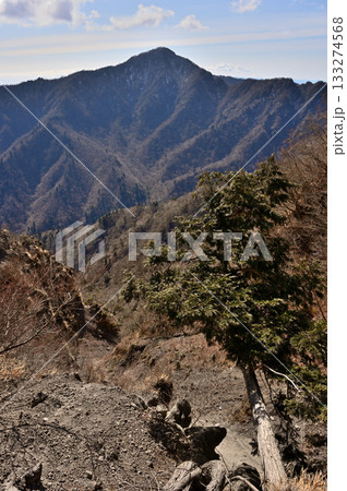 愛鷹山塊の越前岳 北白ガレンより望む位牌岳 愛鷹山塊の越前岳 北白ガレンより望む位牌岳 133274568