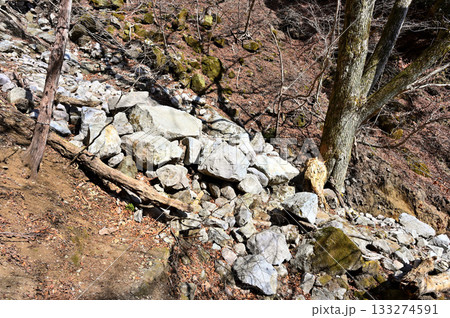 愛鷹山塊の越前岳 谷筋で岩が地滑りを起こした崩落地 愛鷹山塊の越前岳 谷筋で岩が地滑りを起こした崩落地 133274591