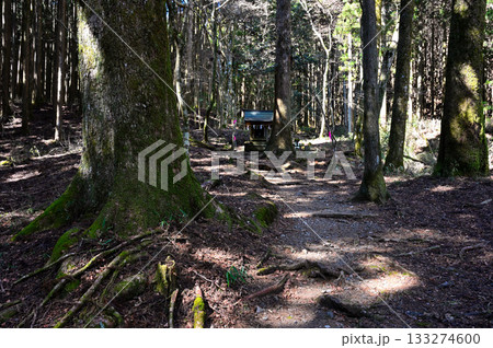 愛鷹山塊の越前岳 山神社の須山愛鷹登山口 愛鷹山塊の越前岳 山神社の須山愛鷹登山口 133274600