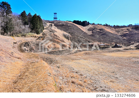 愛鷹連峰の越前岳へ登る道　十里木高原の登山道 133274606