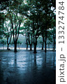 雨上がりの早朝 133274784