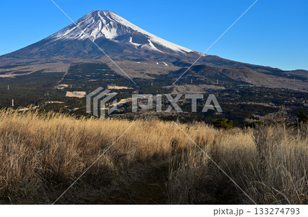 愛鷹山塊の越前岳　カヤトの登山道から望む富士山 133274793
