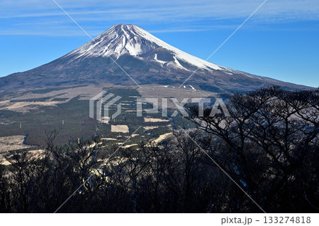 愛鷹山塊の越前岳より望む富士山と宝永火口 133274818