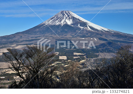愛鷹山塊の越前岳より望む富士山と宝永火口 133274821