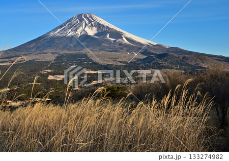 愛鷹山塊の越前岳　朝日射す山地と富士山 133274982