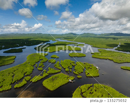 Streams weave through a vast mangrove wetland extending toward the coastline and open sea. Siargao, Philippines. 133275032