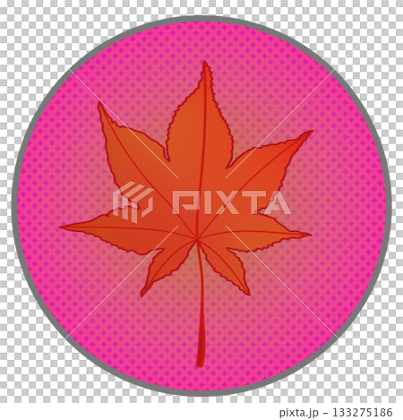 Illustration of autumn maple leaves with a circular background Illustration of autumn maple leaves with a circular background 133275186