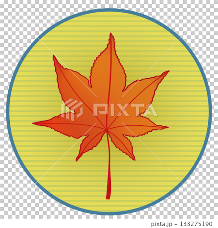Illustration of autumn maple leaves with a circular background 133275190