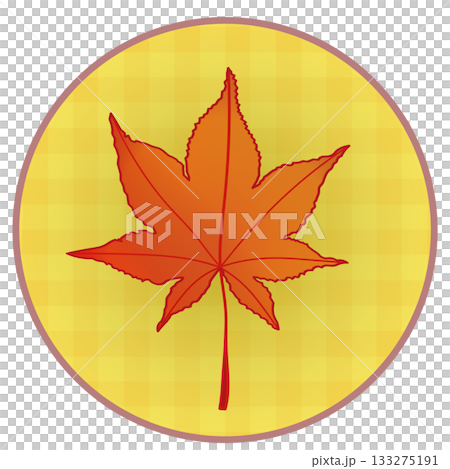 Illustration of autumn maple leaves with a circular background 133275191
