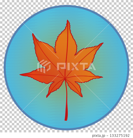 Illustration of autumn maple leaves with a circular background 133275192