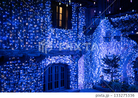 イルミネーション 133275336