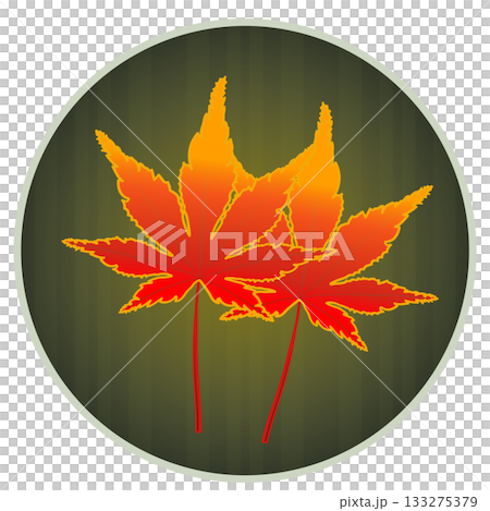 円形背景のついた紅葉したモミジの葉っぱのイラスト 円形背景のついた紅葉したモミジの葉っぱのイラスト 133275379