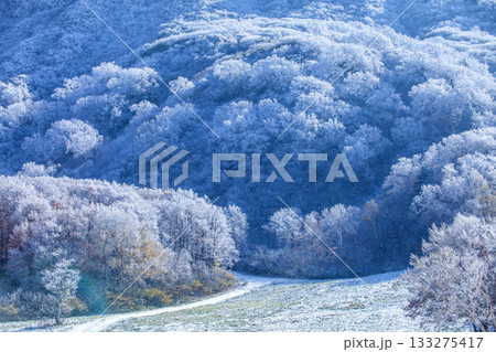 新雪の蔵王三宝荒神山 新雪の蔵王三宝荒神山 133275417
