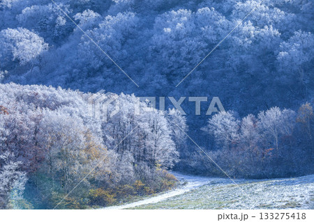 新雪の蔵王 新雪の蔵王 133275418