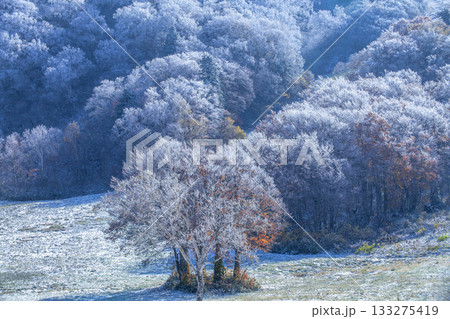 新雪の蔵王三宝荒神山 新雪の蔵王三宝荒神山 133275419