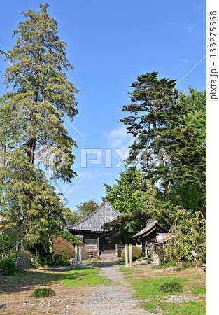 寺院・真言宗智山派 薬王寺　薬師堂　埼玉県さいたま市 133275568