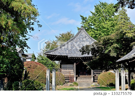 寺院・真言宗智山派 薬王寺　薬師堂　埼玉県さいたま市 133275570
