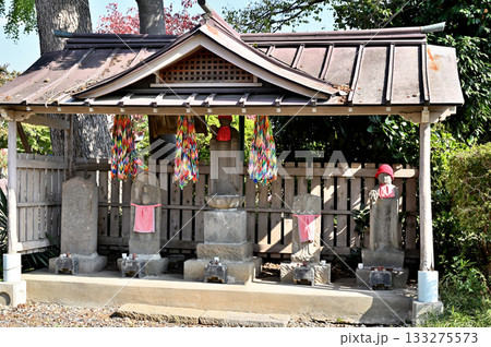 寺院・真言宗智山派 薬王寺　薬師堂　埼玉県さいたま市 133275573