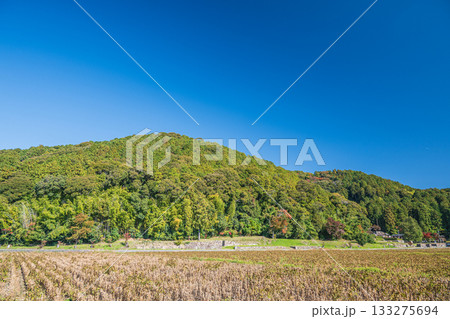 麓から眺める安土城跡　滋賀県近江八幡市 133275694