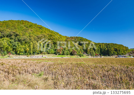 麓から眺める安土城跡　滋賀県近江八幡市 133275695