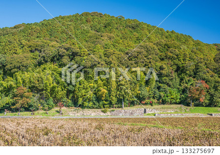 麓から眺める安土城跡　滋賀県近江八幡市 133275697
