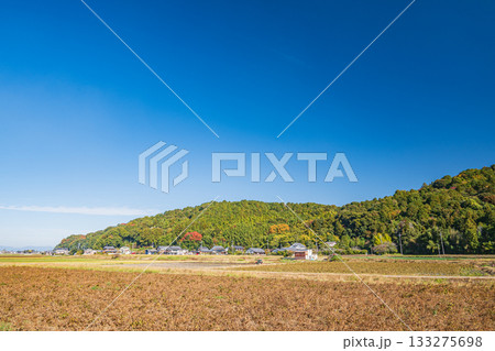 麓から眺める安土城跡　滋賀県近江八幡市 133275698