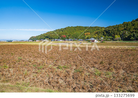 麓から眺める安土城跡　滋賀県近江八幡市 133275699