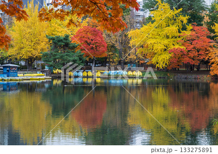 紅葉の水面に映る秋の景色 紅葉の水面に映る秋の景色 133275891