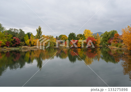 水面に映る紅葉 133275898