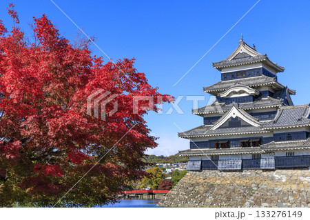 青空と紅葉に映える秋の松本城の美しい風景 青空と紅葉に映える秋の松本城の美しい風景 133276149