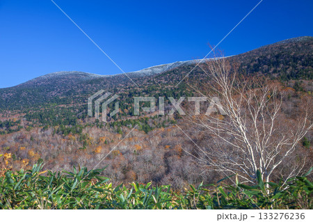 秋の西吾妻錦平 秋の西吾妻錦平 133276236