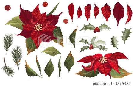 ポインセチアと柊のベクターイラスト素材セット 133276489
