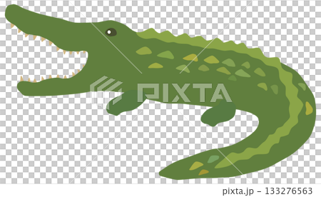 Simple crocodile illustration vector material 133276563