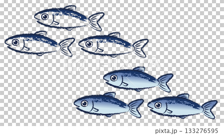 鳀魚 133276595