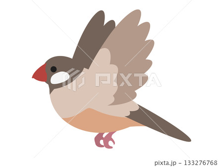 飛んでいるかわいいシナモン文鳥のベクターイラスト素材 133276768