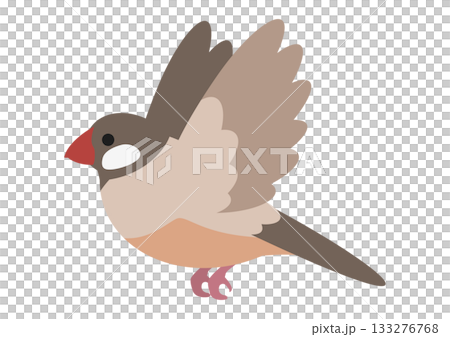 Vector illustration of a cute flying cinnamon finch 133276768