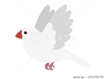 飛んでいるかわいい白文鳥のベクターイラスト素材 飛んでいるかわいい白文鳥のベクターイラスト素材 133276770