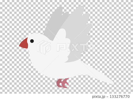 飛んでいるかわいい白文鳥のベクターイラスト素材 飛んでいるかわいい白文鳥のベクターイラスト素材 133276770