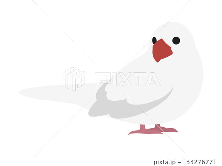 横向きで振り返るかわいい白文鳥のベクターイラスト素材 133276771