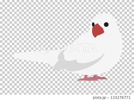 横向きで振り返るかわいい白文鳥のベクターイラスト素材 133276771