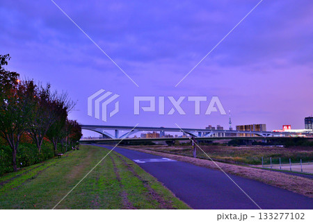 荒川土手から見る舎人ライナー 扇大橋の光跡 夜景 荒川土手から見る舎人ライナー 扇大橋の光跡 夜景 133277102