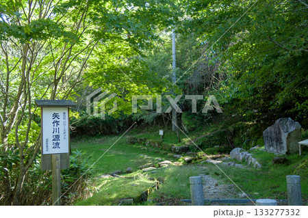 矢作川源流(長野県 根羽村) 矢作川源流(長野県 根羽村) 133277332