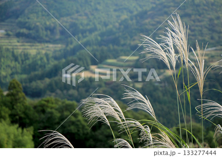 稲刈りの終わった棚田の山里の風景 稲刈りの終わった棚田の山里の風景 133277444