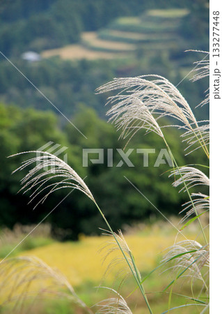 稲刈りの終わった棚田の山里の風景 稲刈りの終わった棚田の山里の風景 133277448