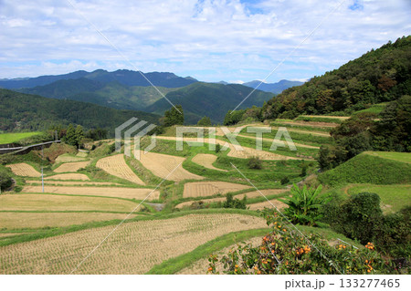 稲刈りの終わった棚田の山里の風景 133277465
